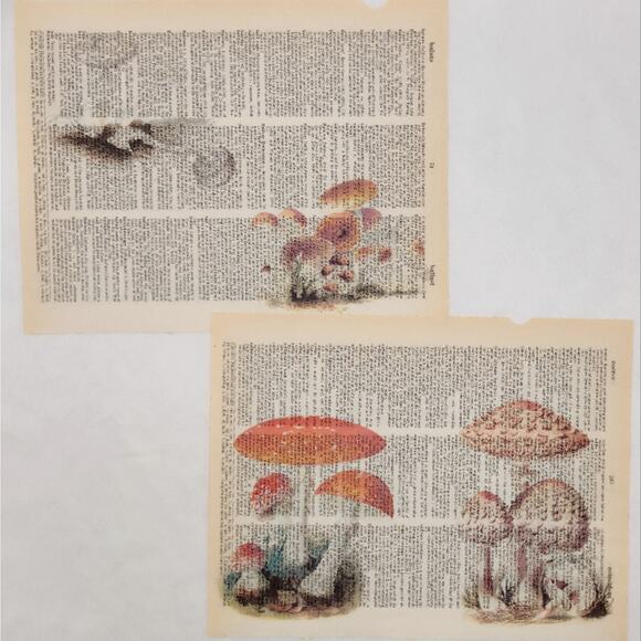 Mushroom Dictionary Prints 4, Colorful Mushroom Prints, Book Page Prints - Picture 6 of 6